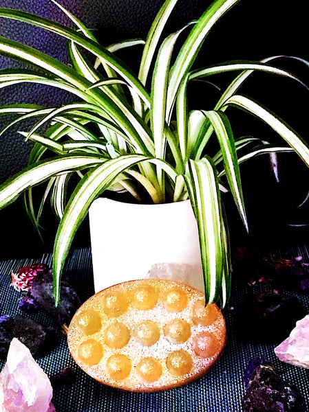 EMBEDED LOOFAH MASSAGE BAR-WHISKEY GREEN TEA